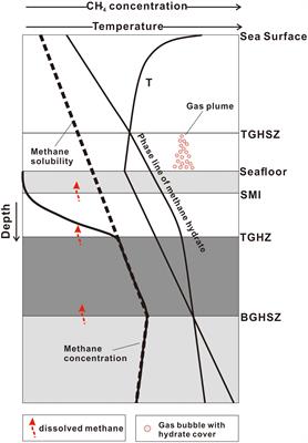 Mechanisms for upward migration of methane in marine sediments